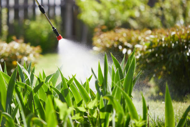 24/7 Emergency Cockroach Control experts in Nashville, GA
