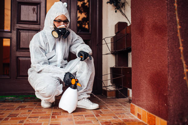 Reliable Cockroach Control contractor in Nashville, GA by Nex Pest Control